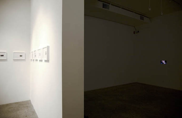 Julia Meltzer + David Thorne - Steve Turner Contemporary Gallery