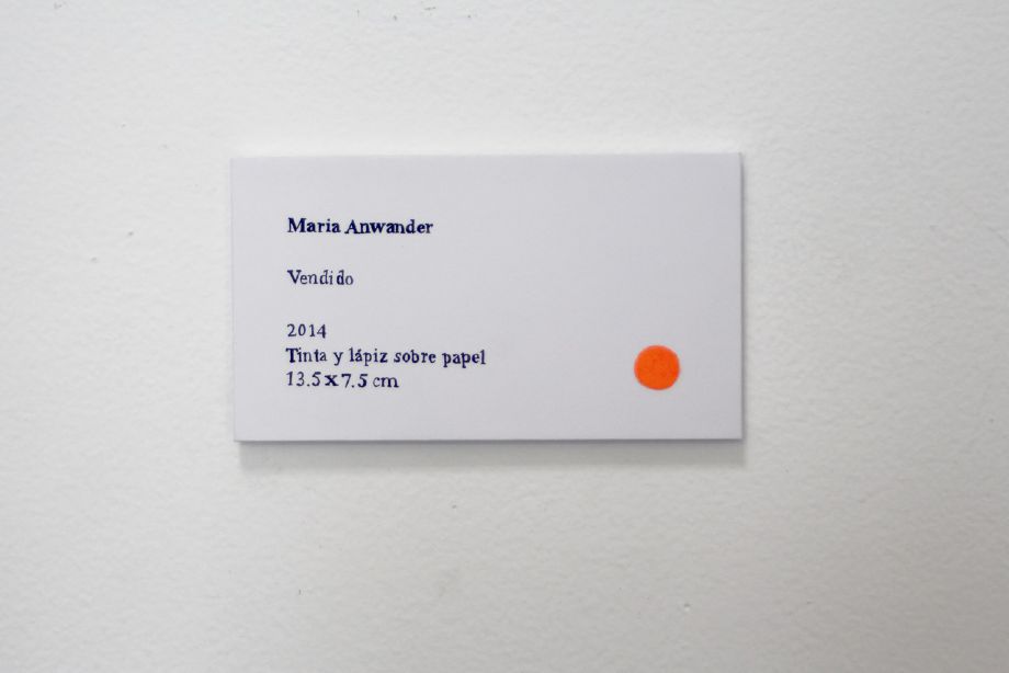 Maria Anwander, Steve Turner Contemporary