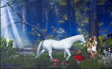 Petra Cortright. Enchanted Foreststrippersnopeleeasy2girls[1], 2012. Flash animation, Length: infinite