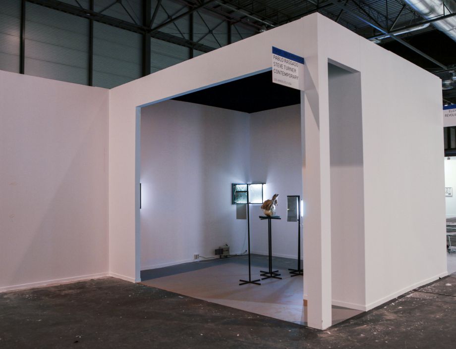 ARCO Madrid - Installation view, Steve Turner Contemporary, Booth 7SP03, February 2014