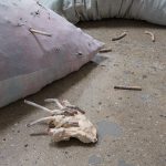 Lila de Magalhaes and Roni Shneior. <em>Close the Door Behind You</em>, 2017. Clay, resin, acrylic, dyed fabric, silver thread, hay, wig, and cigarettes, 16 x 80 x 72 inches. Detail