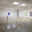<em>Extracting/Abstracting</em>. Installation view, Steve Turner, 2017 thumbnail