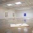 <em>Extracting/Abstracting</em>. Installation view, Steve Turner, 2017 thumbnail