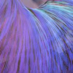 José Carlos Martinat. <em>Distractor #4</em>, 2017. LEDs, motors, microcontrollers, collectors, wood, aluminum and iron, 70 7/8 x 35 7/16 x 90 1/2 inches. Detail