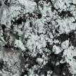Tony Marsh. <em>Crucible Furiosa  5</em>, 2018. Ceramic, 15 x 13 x 13 inches (38.1 x 33 x 33 cm) Detail thumbnail