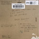 Mitsuko Brooks. <em>Untitled</em>, 2018. Pencil and acrylic on board, 12 x 12 inches (30.5 x 30.5 cm) (Reverse)