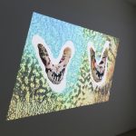 <em>Making Bets in a Burning House</em>, Installation view, Steve Turner, 2020