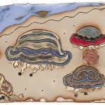 k.mcnameetweed009341