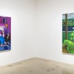 <em>like a lion, my hands and my feet</em>. Installation view, Steve Turner, 2020 thumbnail