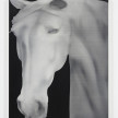 Jingze Du. <em>Horse i</em>, 2021. Oil on canvas, 39 1/2 x 31 1/2 inches (100.3 x 80 cm) thumbnail