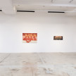 <em>Playing With Fire</em>. Installation view, Steve Turner, 2022 thumbnail