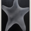 Jingze Du. <em>Starfish</em>, 2022. Oil on canvas, 23 5/8 x 19 5/8 inches (60 x 50 cm) thumbnail