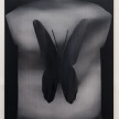 Jingze Du. <em>Butterfly</em>, 2022. Oil on canvas, 47 1/4 x 39 3/8 inches (120 x 100 cm) thumbnail