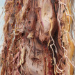 Kate Klingbeil. <em>Root Rot</em>, 2022. Acrylic, pigment, watercolor, vinyl paint, sand, rocks from Lake Michigan and Lake Charlevoix and oil stick on canvas, 60 x 44 x 2 inches (152.4 x 111.8 x 5.1 cm) Detail thumbnail