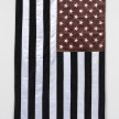 <em>Insignia II</em>, 2020. USA flag stained with the blood of an Afro-Latino immigrant, 62 1/4 x 35 3/8 inches (158 x 90 cm) thumbnail