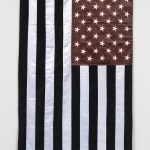 <em>Insignia II</em>, 2020. USA flag stained with the blood of an Afro-Latino immigrant, 62 1/4 x 35 3/8 inches (158 x 90 cm)